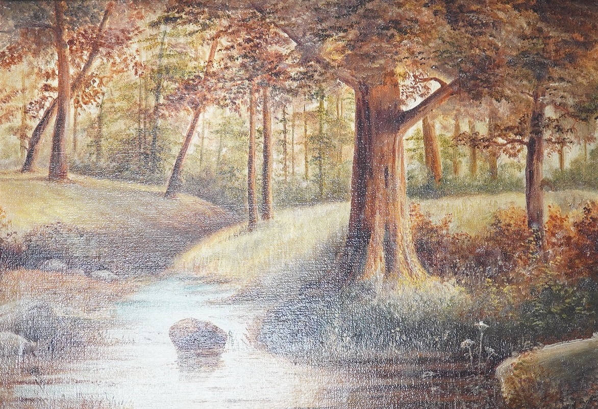 H E Austin, oil on canvas, Woodland landscape with stream, signed, 27 x 40cm, gilt framed. Condition - good